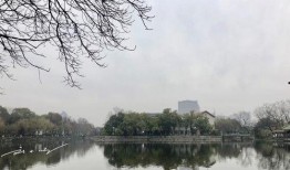 宁波西湖区最新爆料