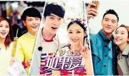 国内综艺在线观看,解锁国内综艺新潮流