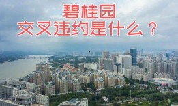 碧桂园爆料最新影响,揭秘行业影响与未来走向