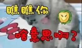 柚子爸爆料的视频,精彩瞬间不容错过