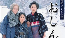 日剧阿信在线观看,跨越时代的坚韧女性传奇