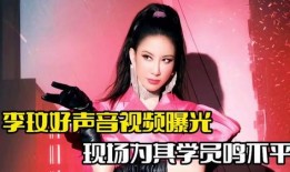 好声音李玟爆料视频完整版,揭秘幕后故事与精彩瞬间