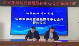 沂水媒体爆料新闻最新,惊险一幕！男子高空作业意外坠落，紧急救援展开