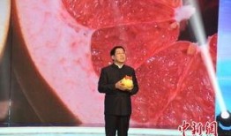 李扬爆料往事视频,那些年娱乐圈的往事风云