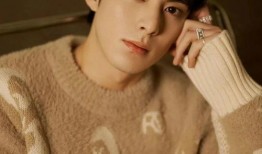 历嘉琪爆料王鹤棣视频,历嘉琪独家爆料引热议