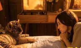 万部影片在线观看,影视世界的无限探索之旅