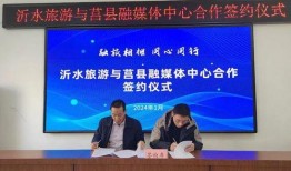 沂水媒体爆料新闻最新,惊险一幕！男子高空作业意外坠落，紧急救援展开