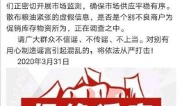 文安爆料视频最新一期,揭秘幕后真相，热点事件再掀波澜