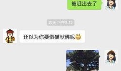 新闻哥爆料,揭秘事件背后惊人真相